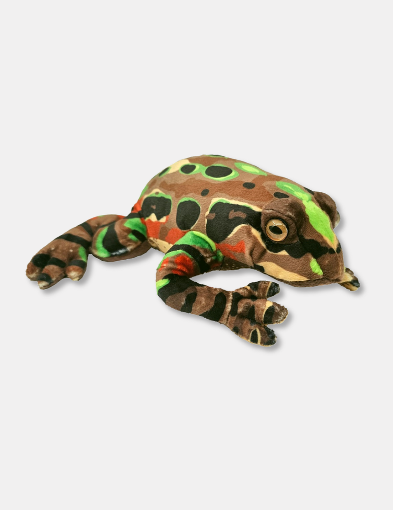 Archey's Frog Soft Toy