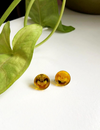 Baby Whai - Stud Earrings
