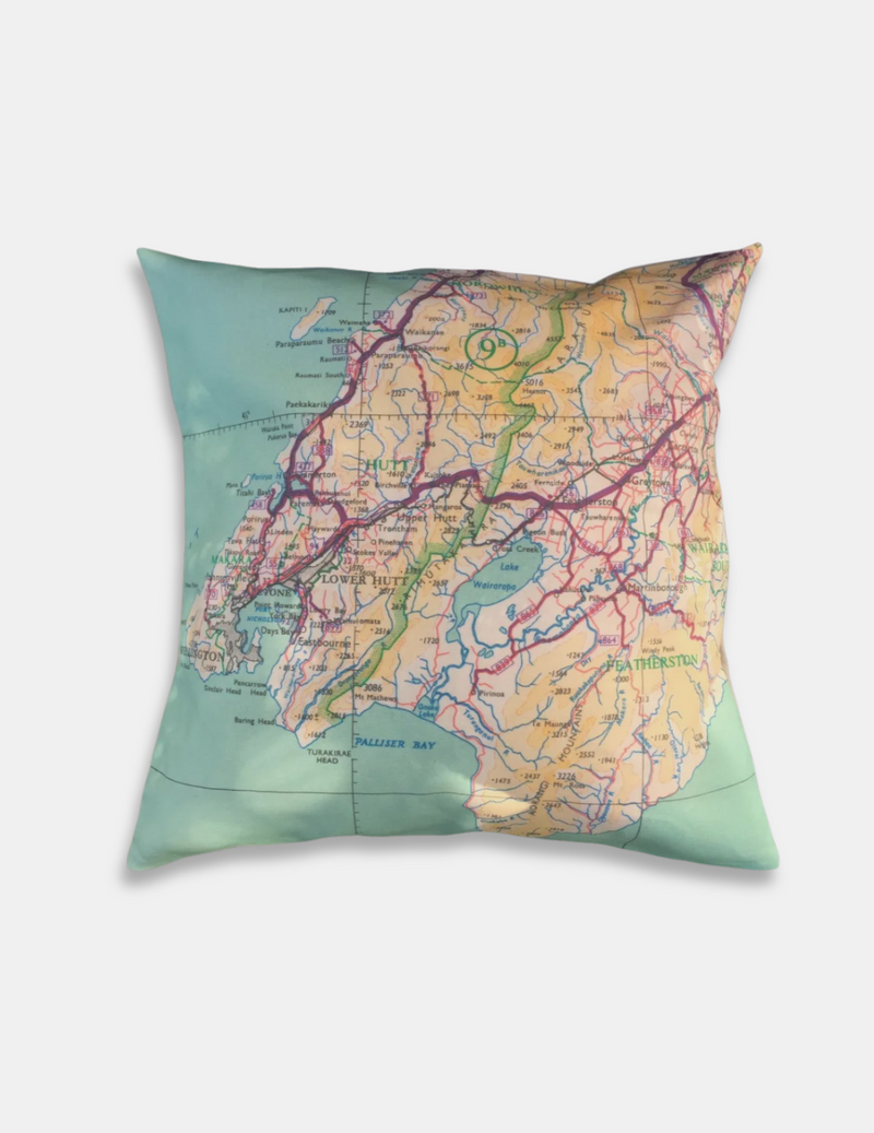 Wellington 1950s Transport Map Cushion Cover