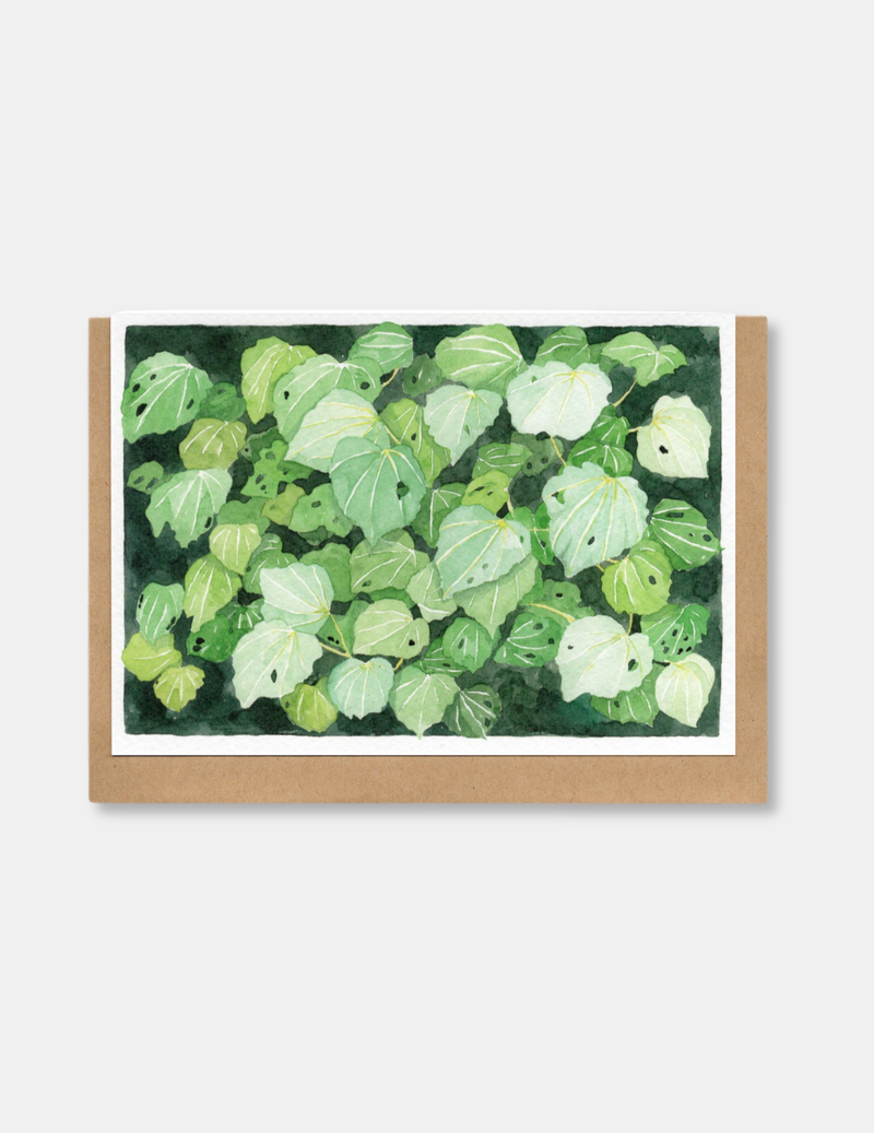 Kawakawa Card by Hannah Webster
