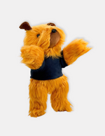 Paddy the Wanderer Soft Toy