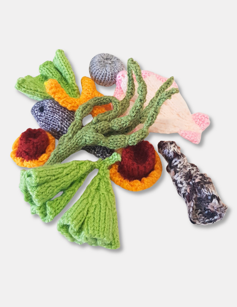 Knitted Rockpool Set (mixed)