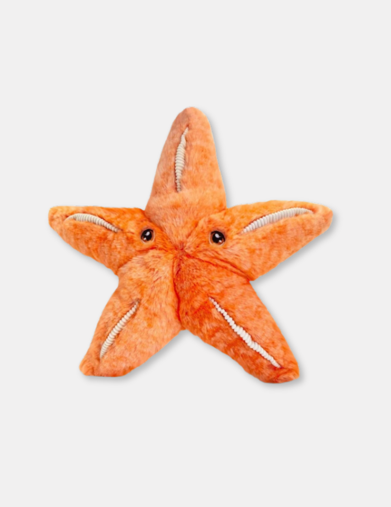 100% Recycled Starfish Soft Toy