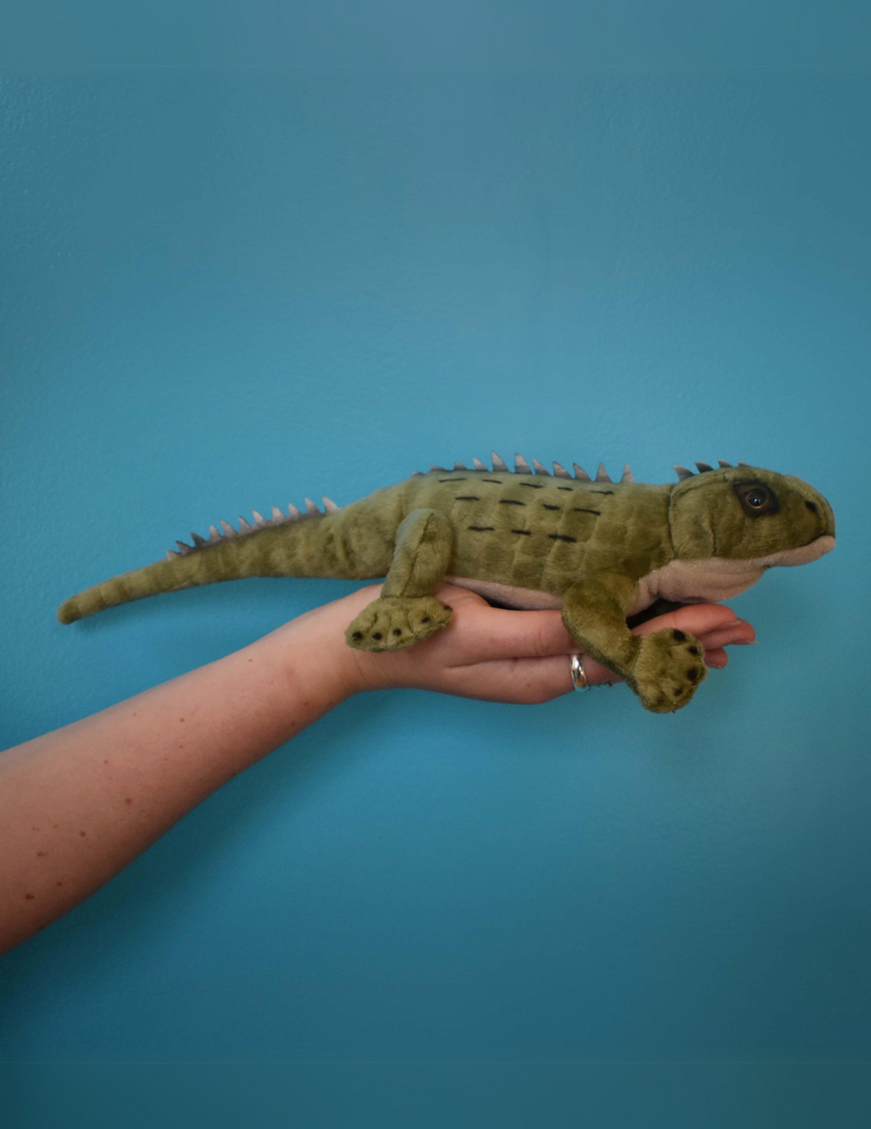 Tuatara Soft Toy with Sound