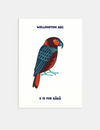 Wellington ABC Postcard