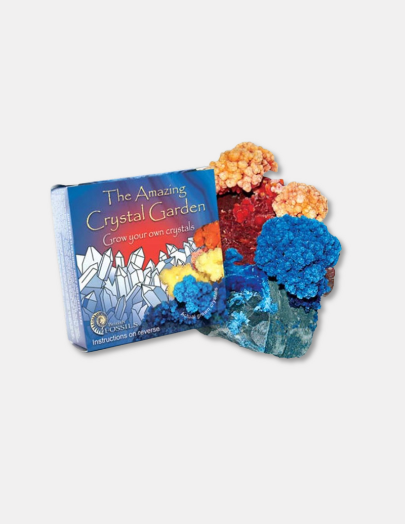 Amazing Crystal Garden Kit