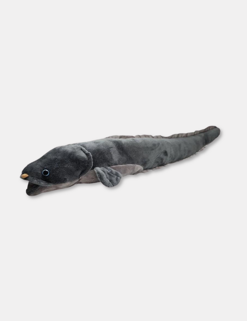 Long Finned Eel Soft Toy