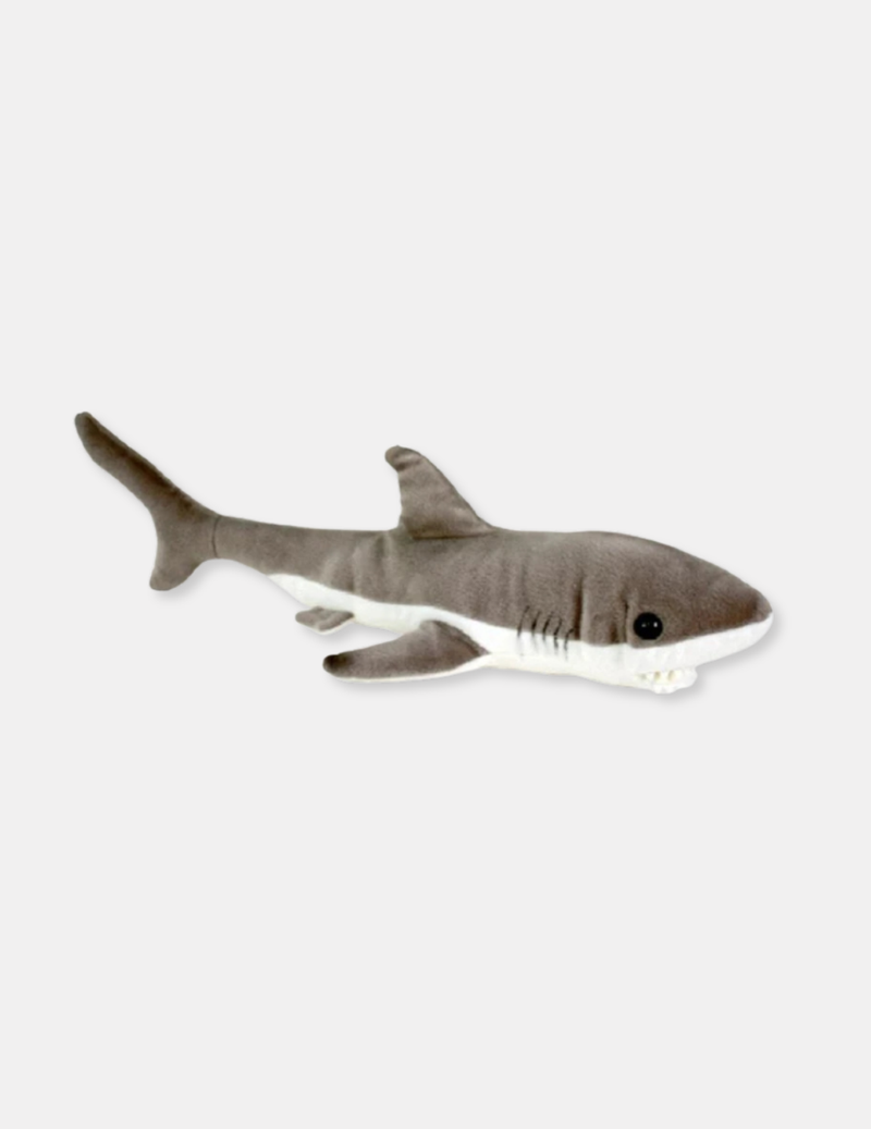 Wild Seas Shark